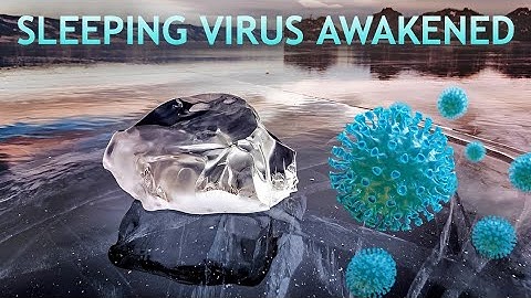 Scientists Bring 48,500 Years Old Ancient Zombie Viruses Back to Life From Siberian Permafrost