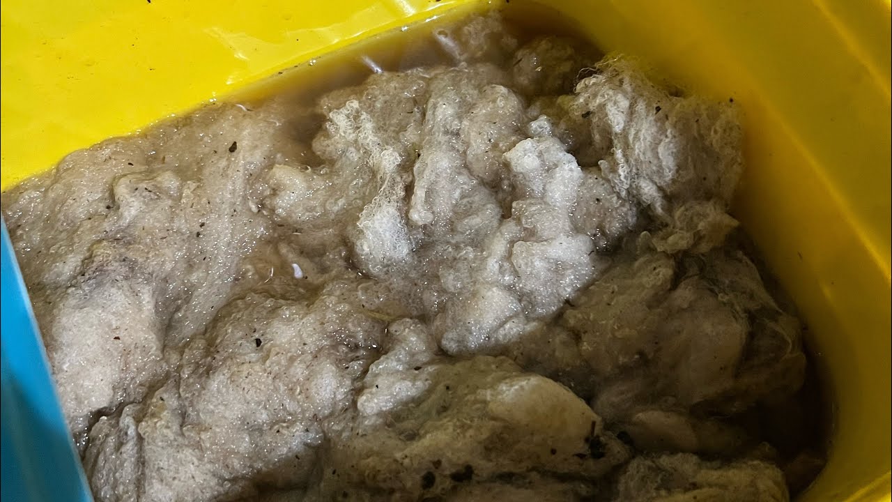 New Year. Wool Wash, Part 2