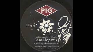 PIG - The Fountain Of Miracles (Anal-Log Mix)