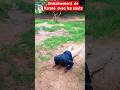 entraînement de karaté #kungfu , #karate #action #sauts , #wesley #