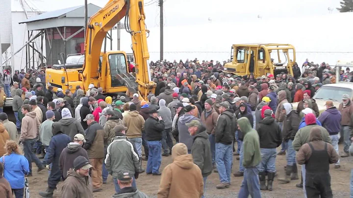 Ball Auction Schacht Farms Auction January 11, 201...