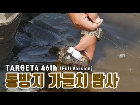 여름패턴 동방저수지 가물치 탐사 [46th_TARGET]
