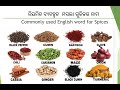 Commonly used English word for spices