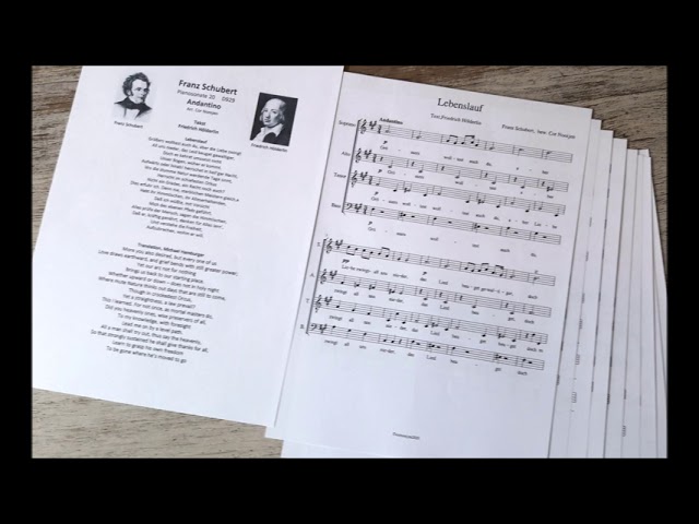 Watch Schubert Andantino D929 | Lebenslauf   Hölderlin | Musescore, grand piano on YouTube