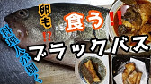 ブラックバスを しゃぶしゃぶ で食べて更に７日間熟成させてみた 常識を変える 絶品料理６品 芦ノ湖で釣ったランカーバス Youtube