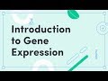 Gene Expression Mechanisms and Their Roles in Biology