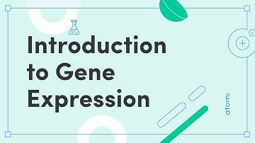 Y11-12 Biology: Introduction to Gene Expression