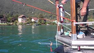 Brochet lac Annecy,  barge cap vert