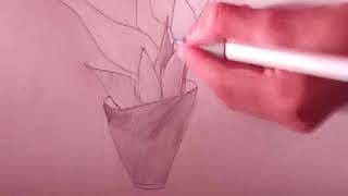How to draw snake plant # easy