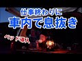 車内にキャンプコット導入して仕事終わりに息抜きしたら、疲れ全部飛んだわ（笑）
