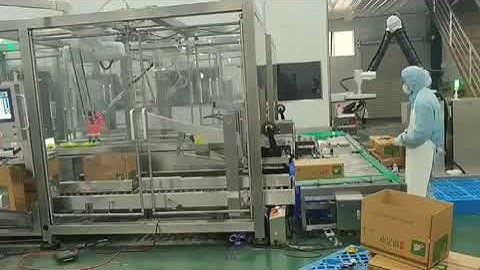 Delta Robot Case Packer Spider Gripper for light bags #packingequipment