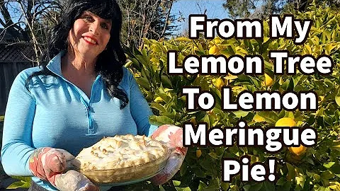 Making a Lemon Meringue Pie...Tips & Tricks