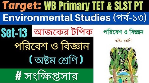 পরিবেশ ও বিজ্ঞান / অষ্টম শ্রেণি / Class-VIII / পর্ব-১৩ / Primary TET  SLST PT