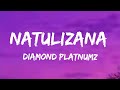 Diamond Platnumz Natulizana Official Lyrics