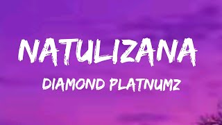 Diamond Platnumz - Natulizana (Official lyrics)