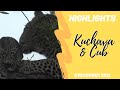 Highlights Kuchava & Cub 8th Dec 2021