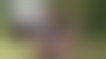 Fostech Echo Trigger with JP Silent Capture Spring