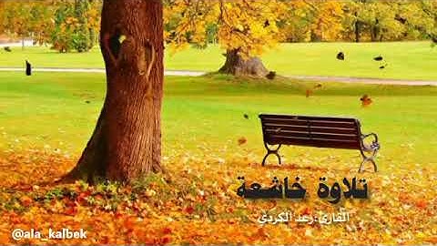 تلاوة خاشعة من سورة يونس رعد الكردي