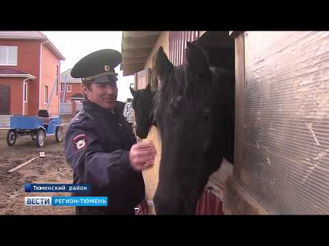 Конный патруль вышел