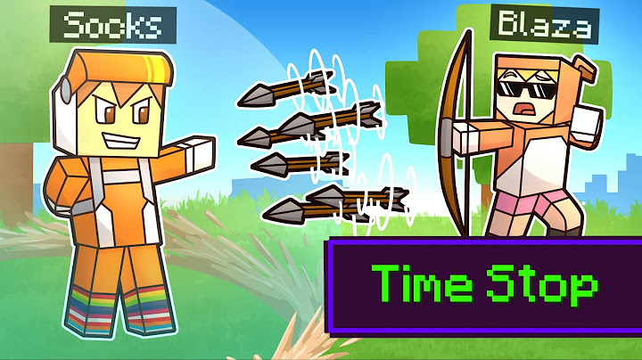 minecraft manhunt but I can control TIME