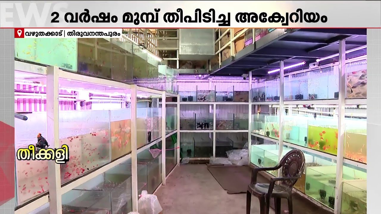 30 വർഷത്തെ പ്രയത്നം തീപിടിത്തത്തിൽ ചാരമായി! ഇന്ന് തിരിച്ചുവരവിന്റെ പാതയിൽ KS ഹോം അക്വേറിയം