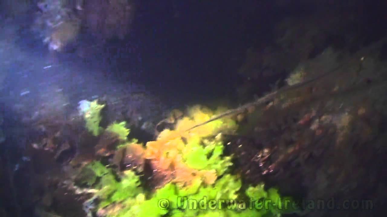 How to film underwater at night in Kerry, Ireland with PHAD8 from