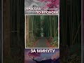 Красота по-японски за минуту. #SHORTS #Ханами #Момидзигари #Юкими #Сакура #Япония #КроссКульт