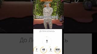 лето.../ #butifyoucloseyoureyes #матрешкарп #мем #teamwater #залити #прикол #актив #мемы #лето #cat