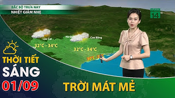 Thời tiết hôm nay 01/09/2022:Bắc Bộ, có mưa dông, trời mát mẻ| VTC14
