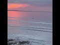 Madryn