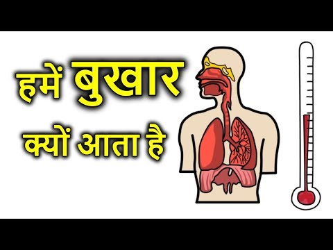 हमें बुखार क्यों आता है? Why Do We Get Fever?