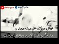 حالات واتس اب مجنونات عيش حياتك على هيئه رجل مجنون لاتنسون الايك