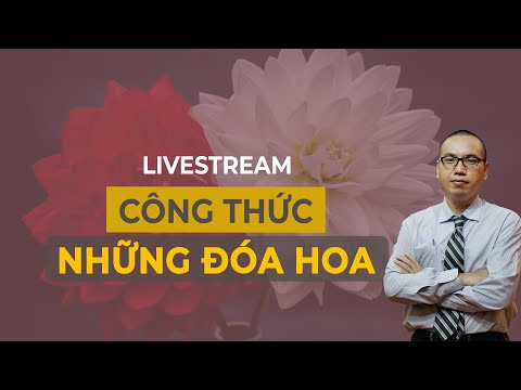 Video: Khi Nào Thì đèn Phía Bắc