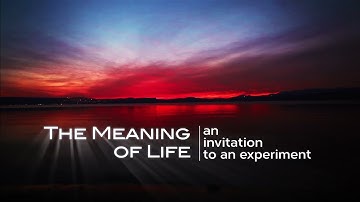 MEANING OF LIFE FILM TRAILER | Ashok Gupta | Meaning of Life Experiment |