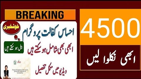 8123 Ehsas Rashan program news update || 2023|