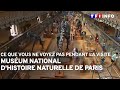 Musum national dhistoire naturelle de paris  ce que vous ne voyez pas pendant la visite