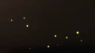 Fantasia Musim Cinta  Cover