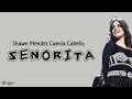 Shawn Mendes Camila Cabello - Senorita | Lirik dan Terjemahan