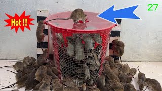 Fare Kapanı Dünyanın En Iyi Fare Kapanı Harika