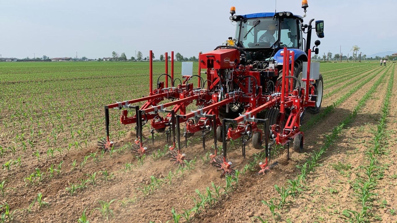 La sarchiatura di precisione Steketee a Mais Domani 2023