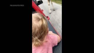 Giraffe's nibble turns into airborne safari adventure for Texas toddler