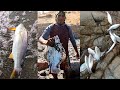 #116 Lenguados, Corvinas y lornas, Pesca surtida