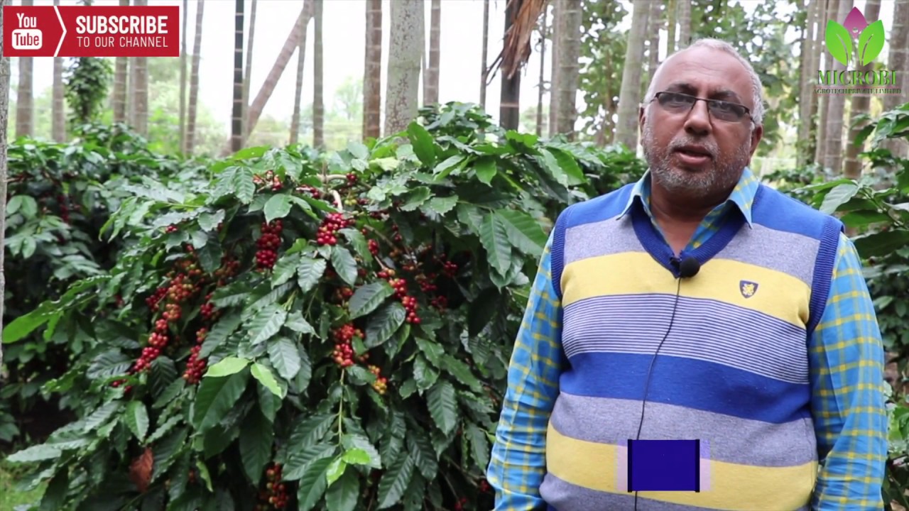 Dr.soil / Dr.soil coffee / coconut / pepper/ Arecanut / super crop coffee