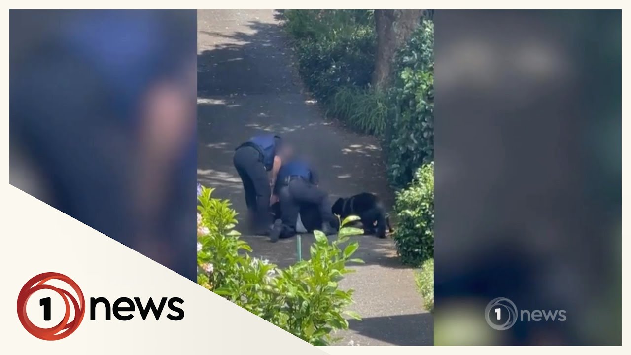 Alleged burglar bitten by police dog, kicked by officer in Auckland
