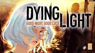 [Dying Light] Never imagine this game became my one of the long series stream!  ∑d(°∀°d)