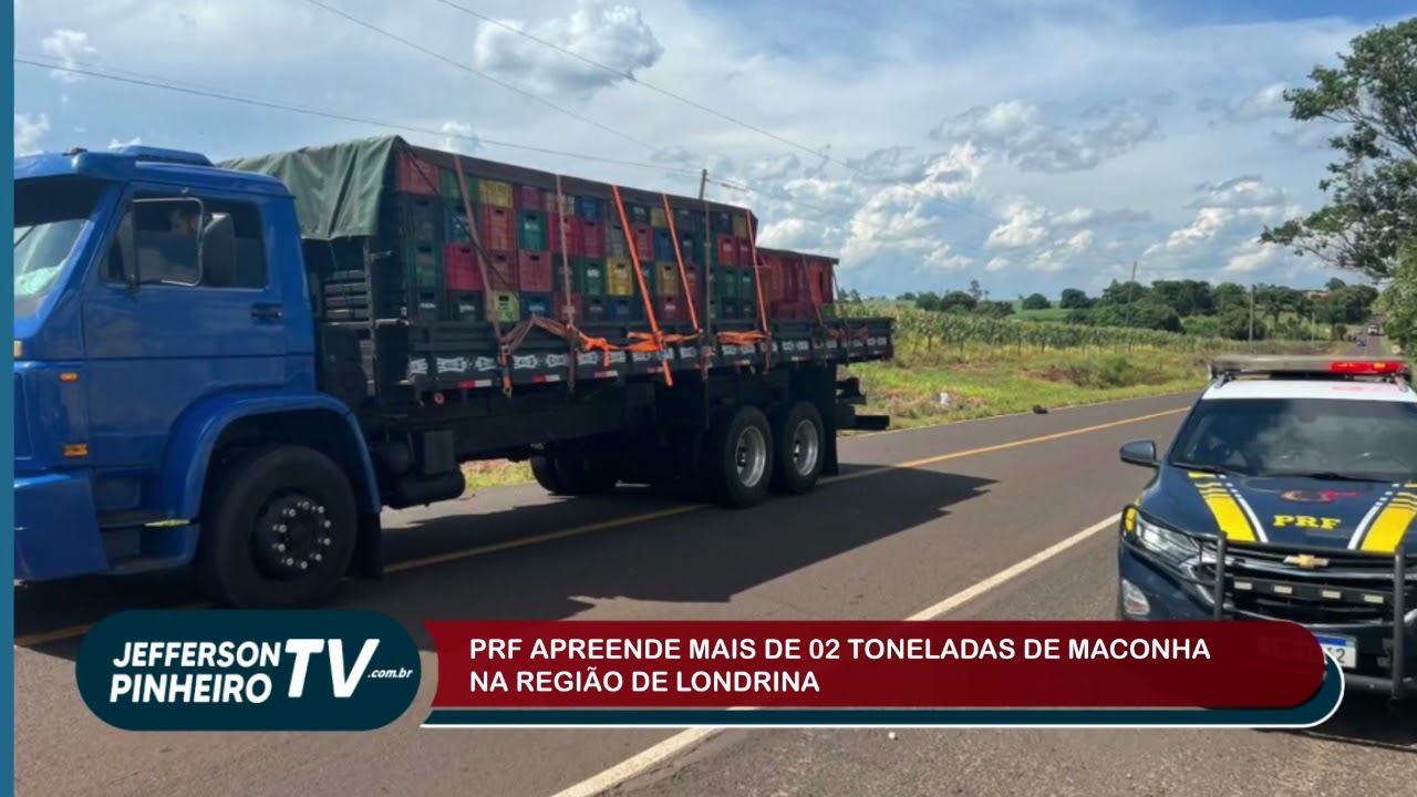 PRF APREENDE MAIS DE DUAS MIL TONELADS DE MACONHA NA REGIÃO DE LONDRINA