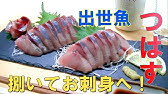 ツバスの速いさばき方 刺身 How To Judge Fish Quickly Youtube ツバスの速いさばき方 刺身 How To Judge Fish Quickly Youtube