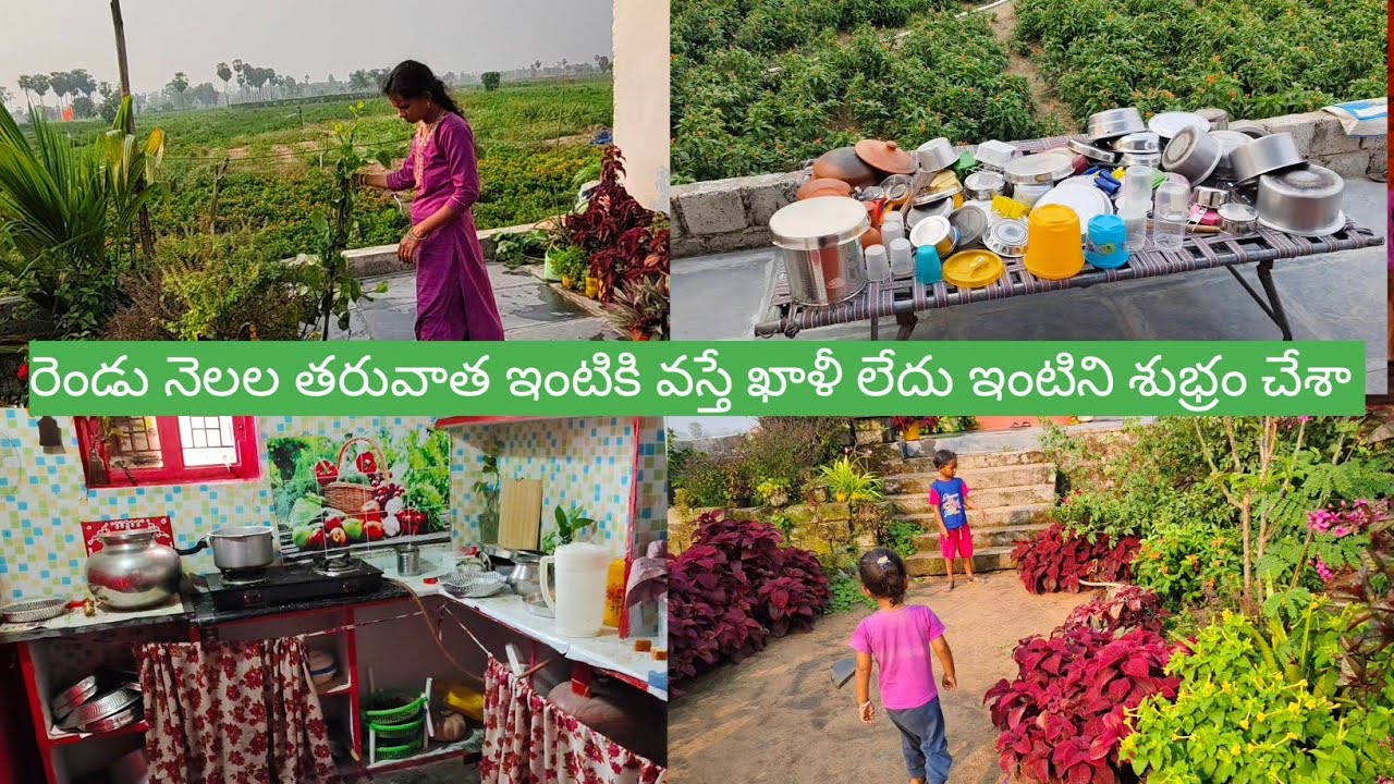 Vlog//రెండు నెలల తరువాత ఇంటికి వస్తే ఇల్లు ఇలా ఉంటుంది అనుకోలేదు//వచ్చినప్పటి నుంచి ఖాళీ లేదు