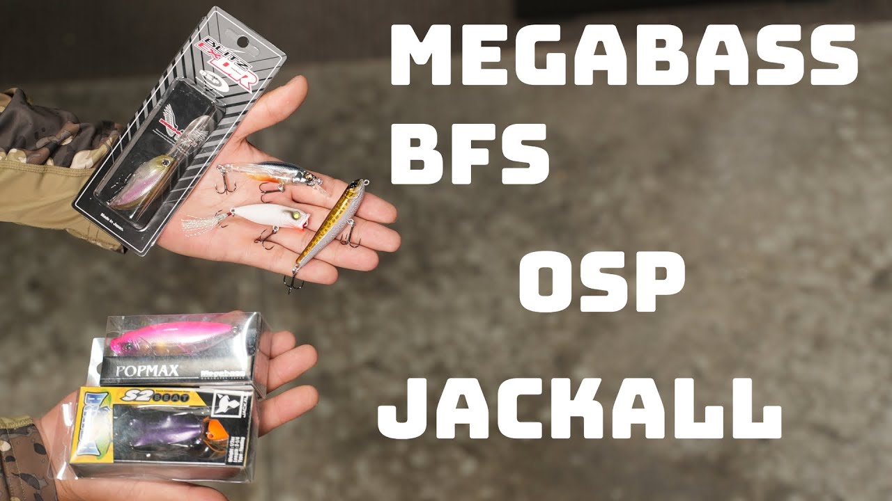 What's New This Week! Megabass BFS Baits, Jackall, OSP And More!