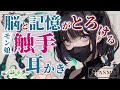 〖ASMR/耳かき/触手〗脳と記憶がとろける モン娘触手耳かき〖earpick〗